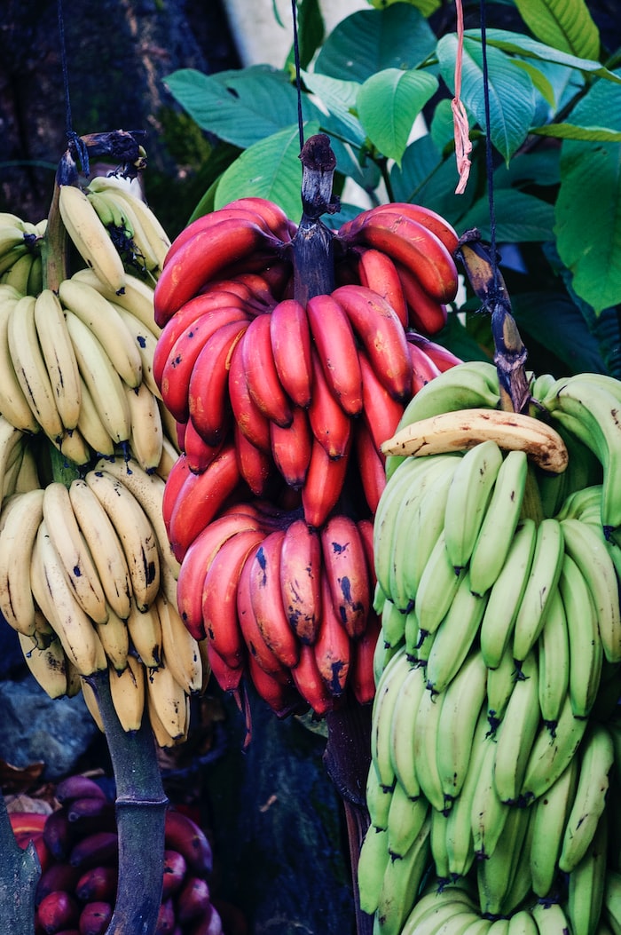 Can You Eat Bananas After Exercise?