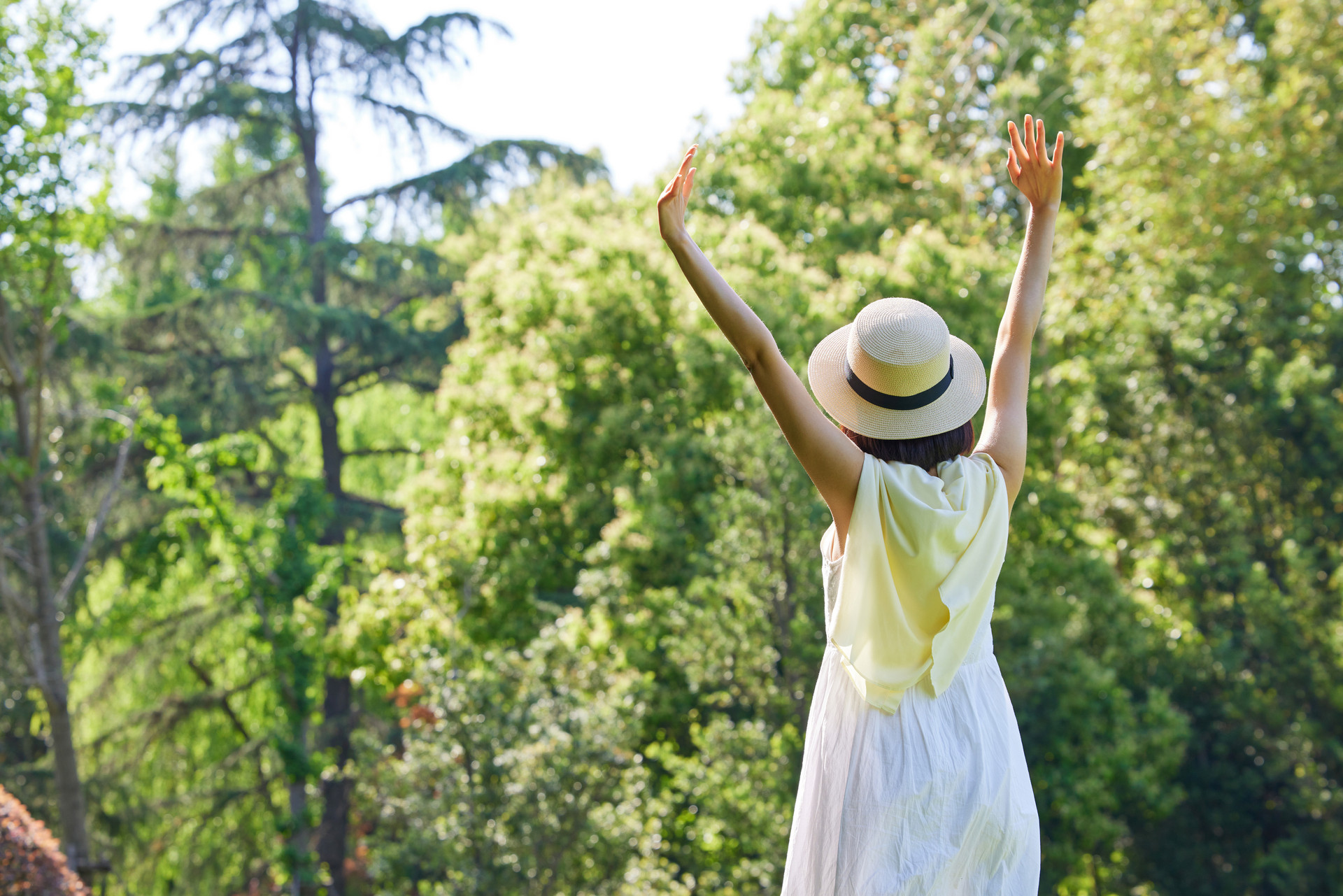 Managing Menopausal Symptoms: The Importance of Diet and Lifestyle