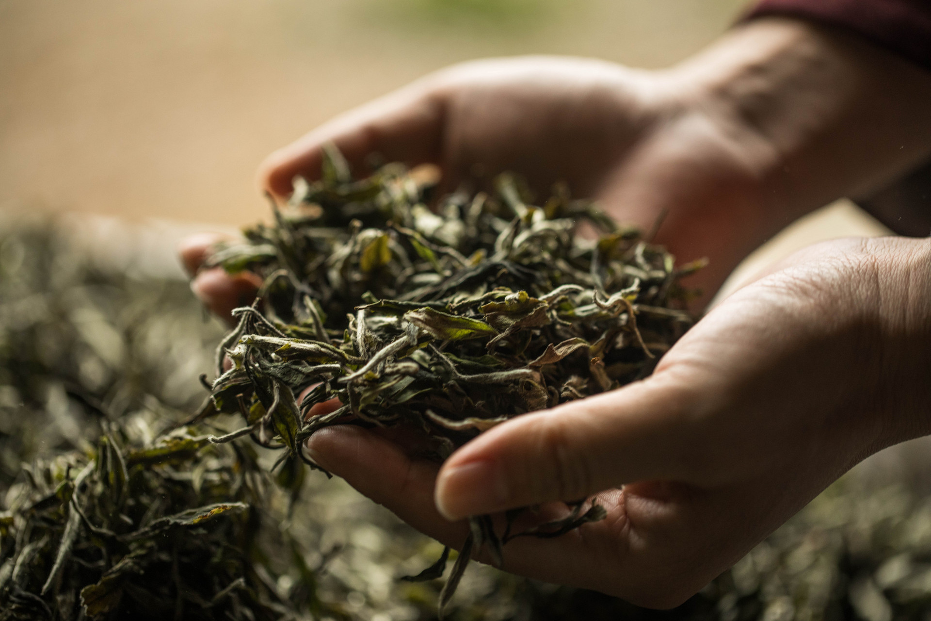 Nourishing and Soothing Tea for a Healthy Stomach